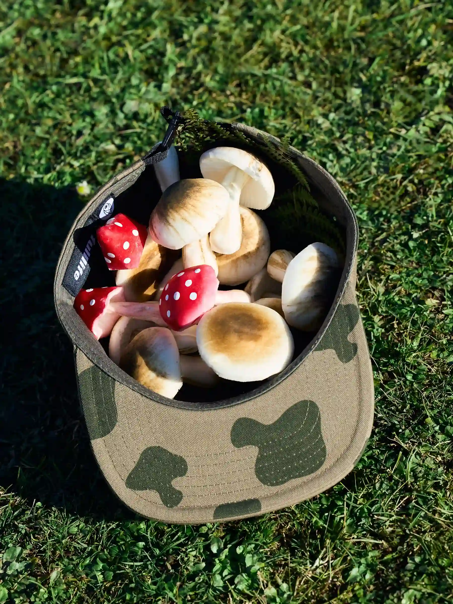 Bandle Scout Cap - Image 5
